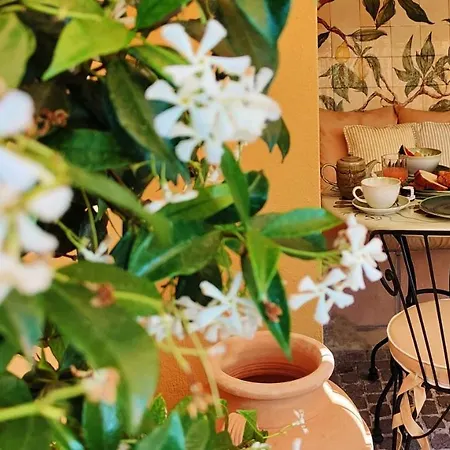 La Pérouse Baie Des Anges Hotel