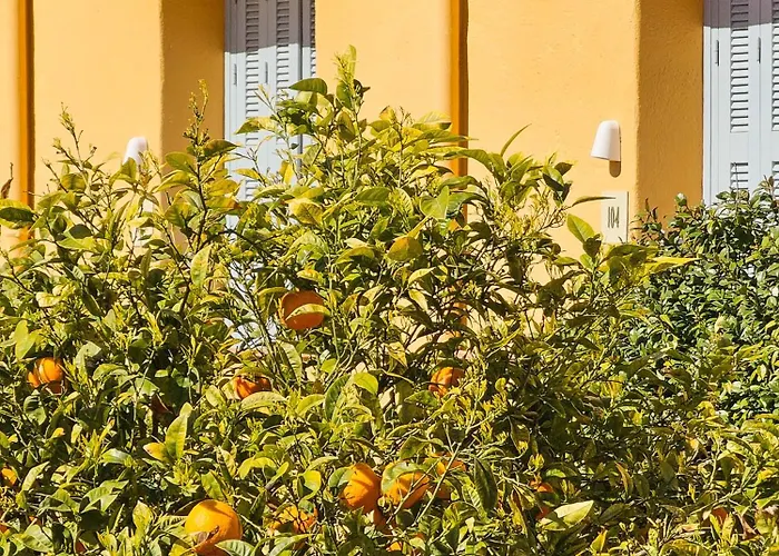 La Perouse Baie Des Anges