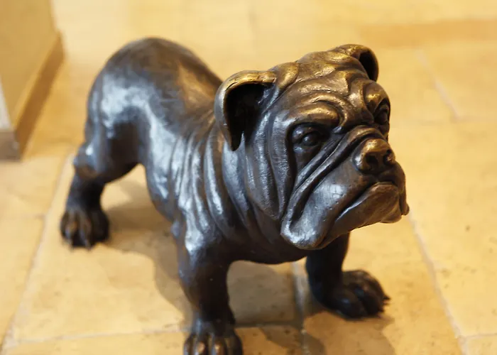 La Perouse Baie Des Anges