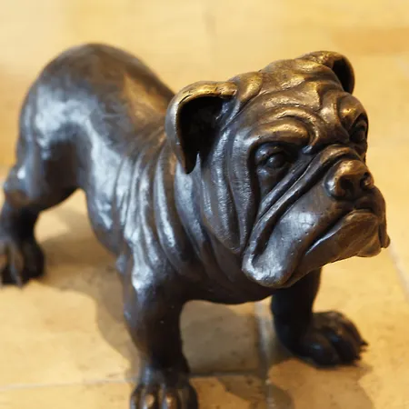 La Perouse Baie Des Anges